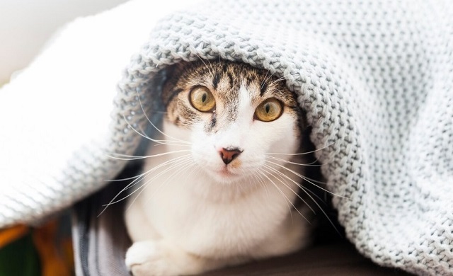 В ближайшие сутки в Татарстане похолодает до -4 градусов