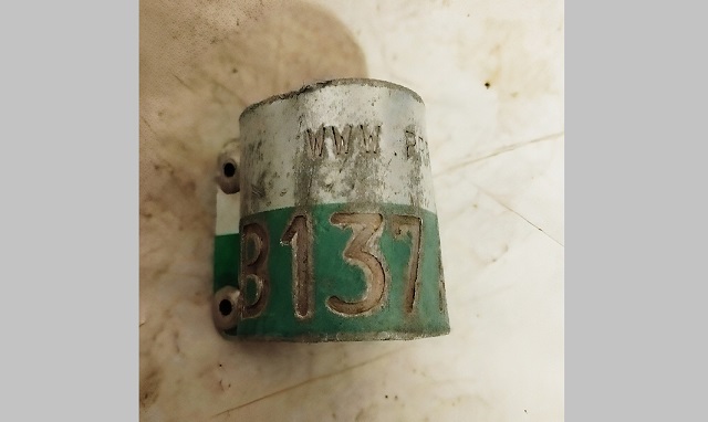 Орнитолог из Татарстана рассказал о трагичном рекорде орлана-белохвоста