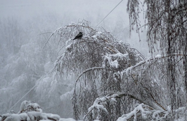 Сильный ветер и снег ожидаются в Татарстане в конце выходных