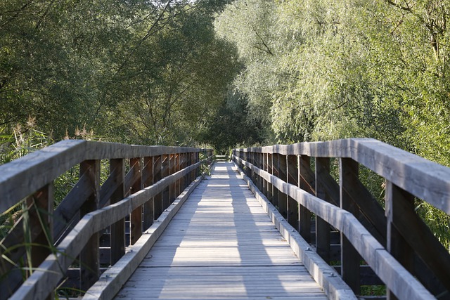 В Татарстане на ремонт 23 мостов по нацпроекту планируют потратить 1,8 млрд рублей
