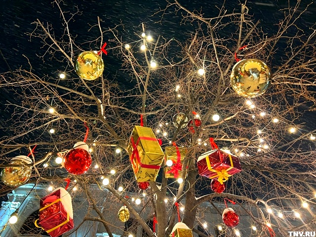 Снежная сказка или морозная стужа: прогноз на канун Нового года в Татарстане