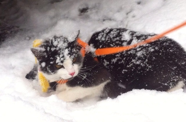 21 декабрь: Татарстанда һава торышы