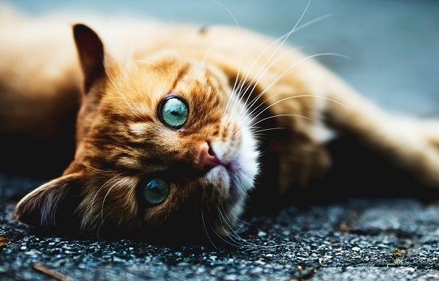 Следует готовиться к сильной непогоде: прогноз на середину недели в Татарстане