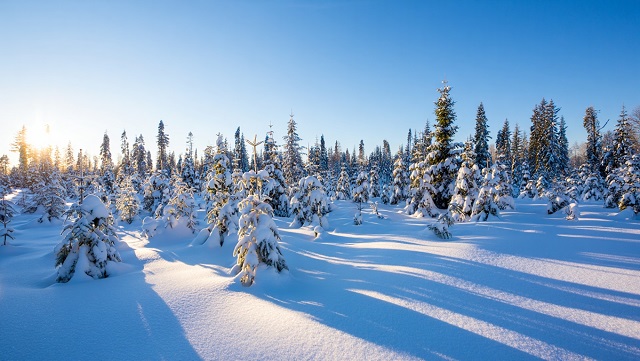 Заповедная практика: как попасть на стажировку в природный биосферный заповедник РТ