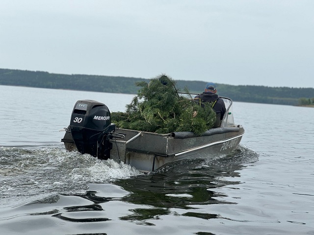 Детский сад для рыбы обустроили в одном из районов Татарстана