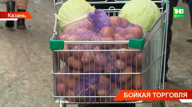Бойкая торговля: чем запомнилась девятая недель сельхозярмарок в Татарстане