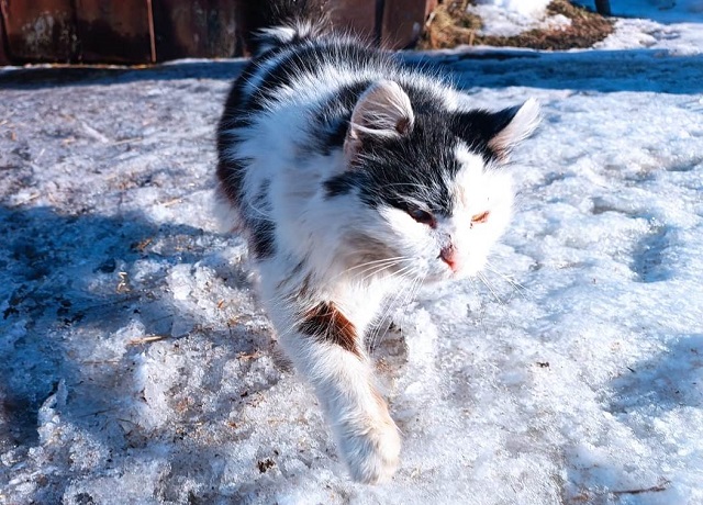Мокрый снег и потепление до +5 градусов ожидаются в Татарстане в начале недели