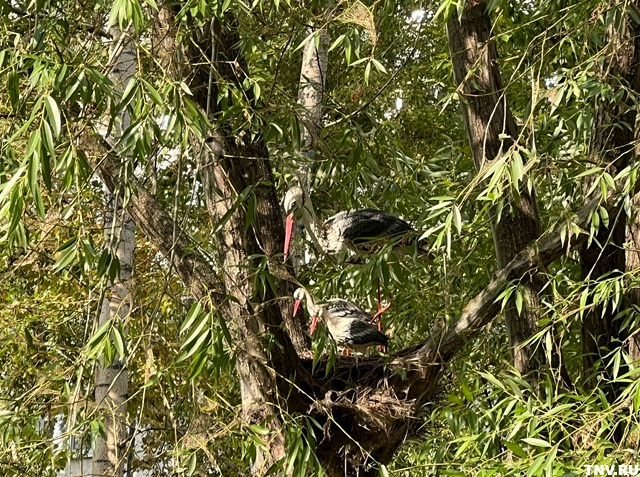 Вильфанд анонсировал кардинальное изменение погоды в Татарстане 