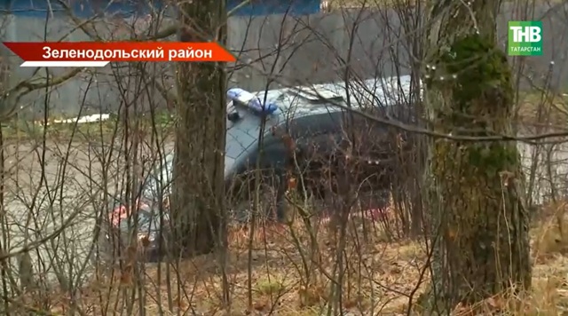 Дело о смертельном нападении собак на девочку в Васильево направлено в суд