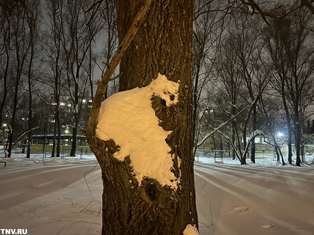 Туман, метель и ледяной дождь: в Татарстане неспокойное воскресенье