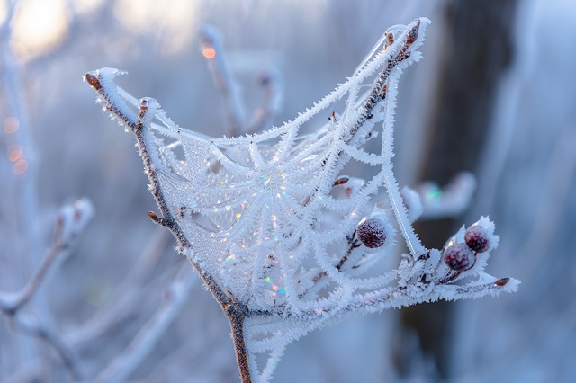 Опасные -34 градусные морозы накроют Татарстан на этой неделе
