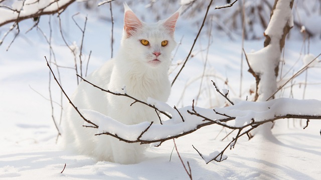 Похолодание до -17 градусов ожидается в Татарстане в начале метеорологической весны