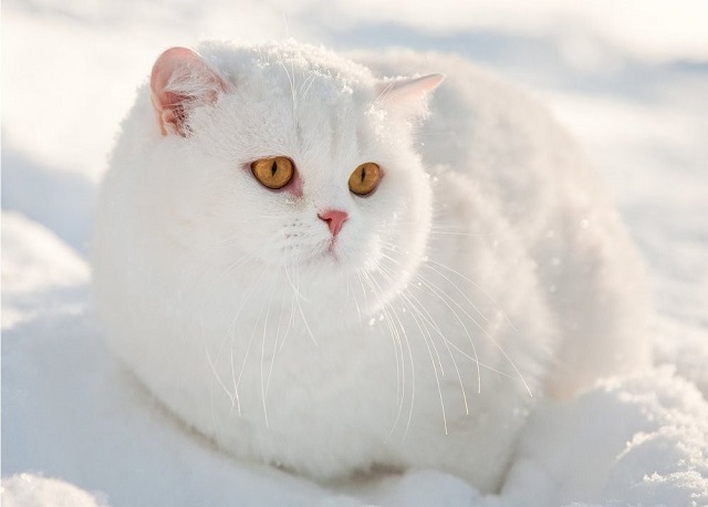 Иртәгә Татарстанда -20 градуска кадәр суытачак