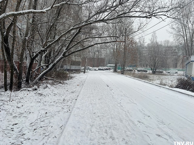 Апрельский сюрприз: снежный покров сформировался в Центральной России и Приволжье