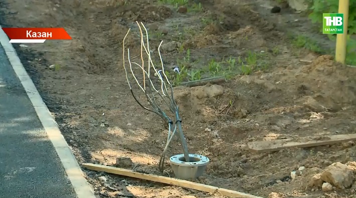 Казандагы кайбер ишегалларында нигә ут юк?