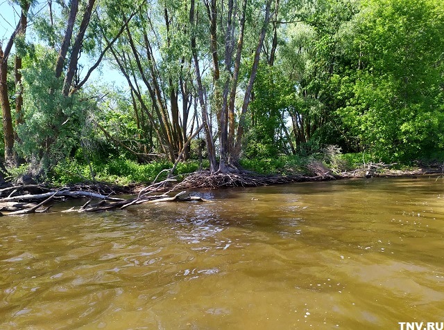 Шошма прибавила 168 см за сутки, но половодье в Татарстане остается безопасным