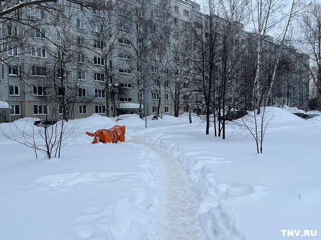 Февраль‑2026 стал самым снежным в истории метеонаблюдений Татарстана