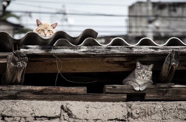 Сильные дожди похолодание до +1 градуса надвигаются на Татарстан