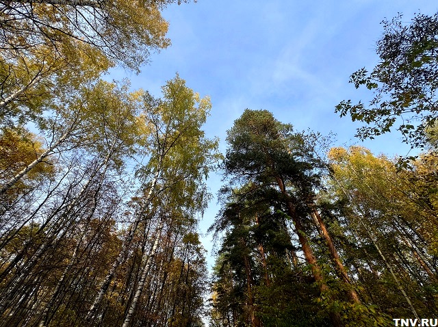 Внимание: штормовое предупреждение объявлено в Татарстане до 15 октября