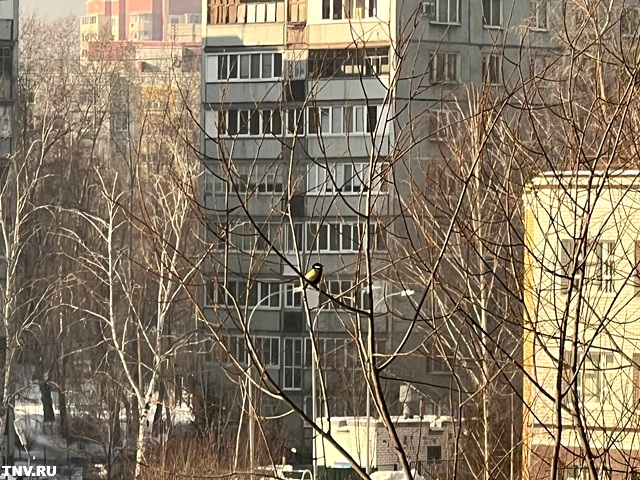 Тепло возвращается: в Татарстане температура повысится до -5 градусов