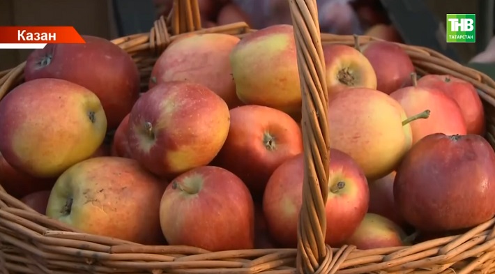 Казанда 13 сентябрьдән гадәти көзге авыл хуҗалыгы ярминкәләре эшли башлый