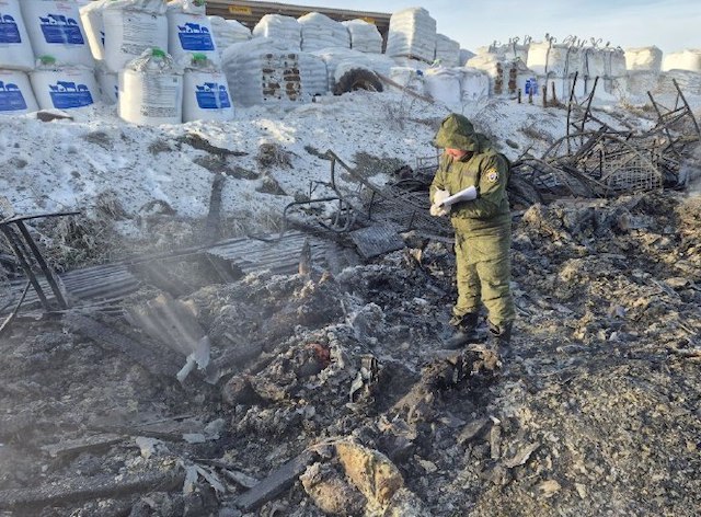 Суд отправил владелицу татарстанской агрофермы под домашний арест после смертельного пожара