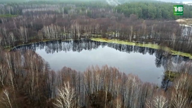 Заповедные земли в частных руках: в Татарстане озеро Ильинское на грани экокатастрофы