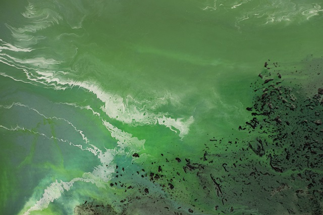 Иртәгә Казанның өч районындагы йортларында су яшел төскә буялырга мөмкин