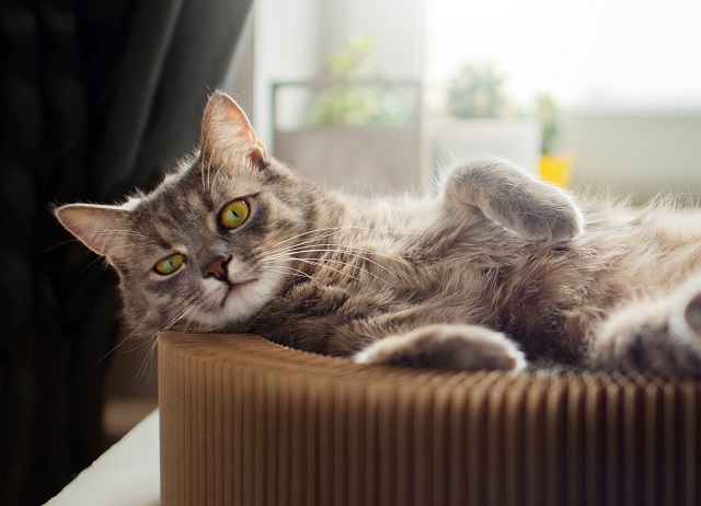 Шквалы и грозы: сильная непогода разыграется в Татарстане в начале выходных