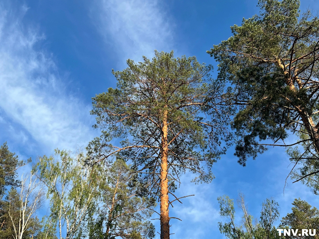 11-градусная прохлада, град и ветер: прогноз на праздничные выходные в Татарстане