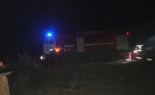 В Татарстане в результате пожаре в приюте были спасены 130 собак