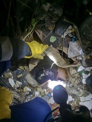 В Татарстане пьяный мужчина упал в колодец, пытаясь спасти щенка