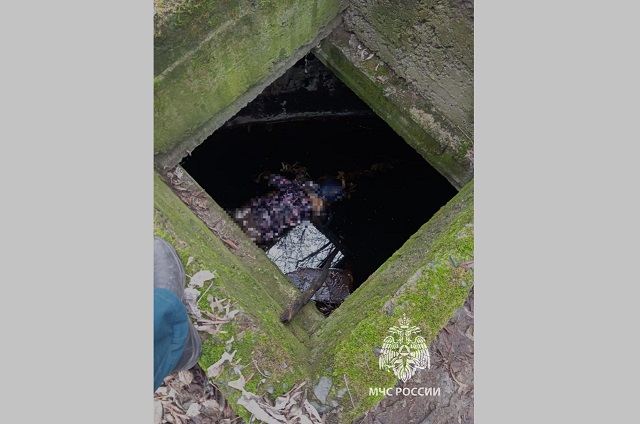 Васильевода кое чистарткан вакытында хатын-кыз гәүдәсен тапканнар