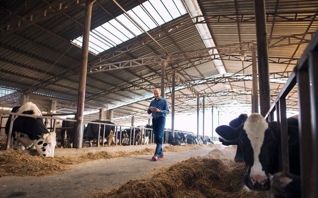 Роспотребнадзор РТ продолжит мониторинг за циркуляцией вируса гриппа среди коров