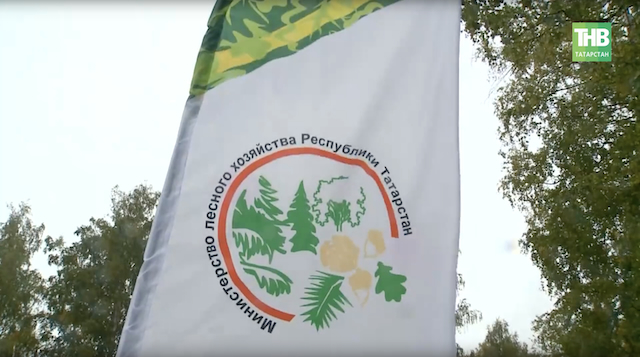 В Татарстане масштабно отметили День работников леса