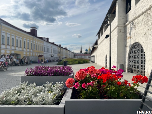 Июль в разгаре: сколько еще продержится жара в Татарстане, ответили в Гидрометцентре