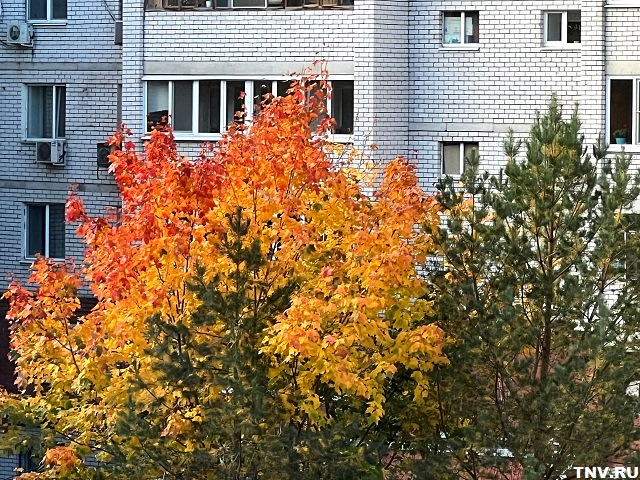 Синоптик анонсировал скорый приход бабьего лета в Татарстан