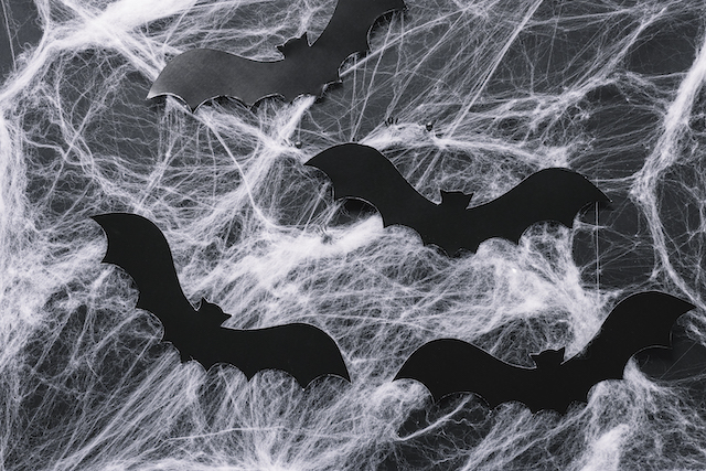 Эбола, бешенство, коронавирус: татарстанцам ответили, чем опасны летучие мыши