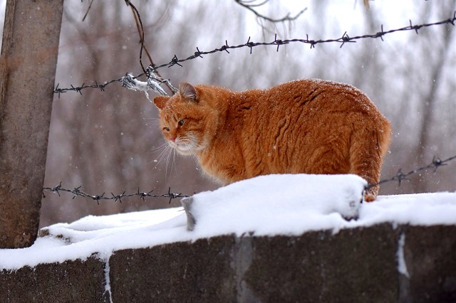 Усиление снегопадов и до -8 градусов ожидаются в Татарстане в середине недели