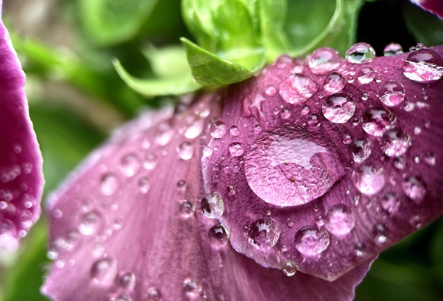Испепеляющая жара в Татарстане продлится не долго: свежий прогноз синоптиков