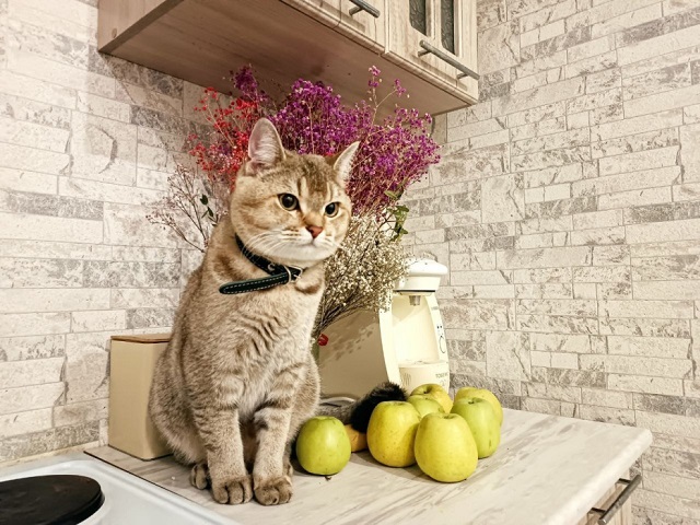 Июльнең соңгы көнендә Татарстанда коры һава торышы саклана