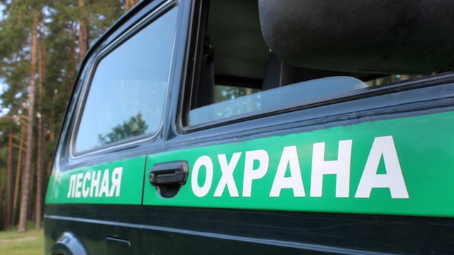 Более 16 000 лесных патрулирований провели инспекторы Татарстана за полгода