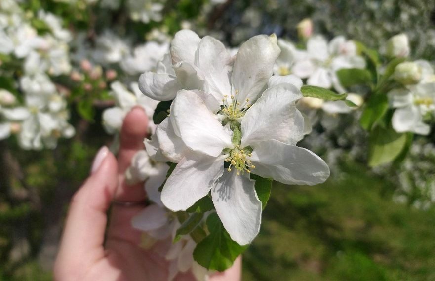 Аномальное пекло: 20 мая в Татарстане воздух прогреется до +31 градуса