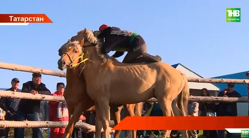 Лениногорск районында "Татар аты" дигән Бөтенроссия фестивале узды
