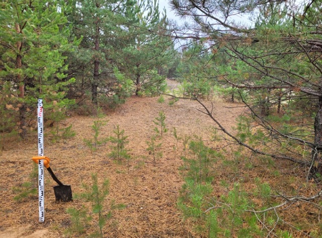 Остатки селища XVIII века обнаружили на территории будущего ЖК в Казани