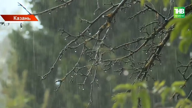 Придет ли лето в Татарстан, пока бизнес, аграрии и садоводы подсчитывают убытки?