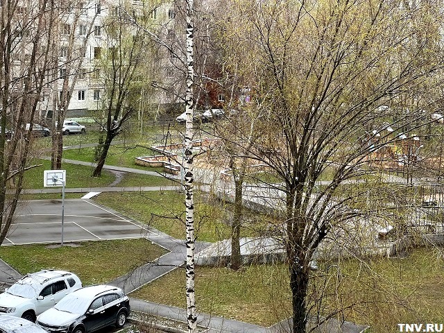 Утром гололедица, днём до +11: апрель в Татарстане не сдает позиций