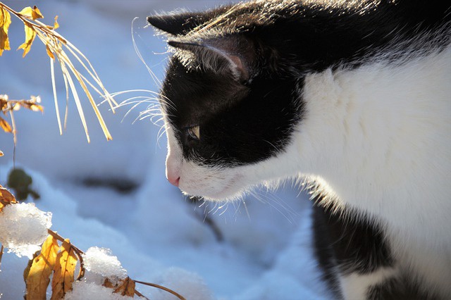 Доцент КФУ Тимур Аухадеев рассказал о мартовской погоде в Татарстане