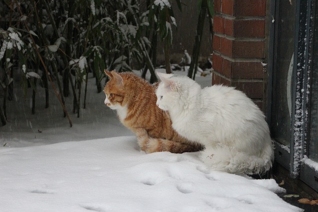 В начале рабочей недели на Татарстан обрушится порывистый ветер до 15-20 м/с