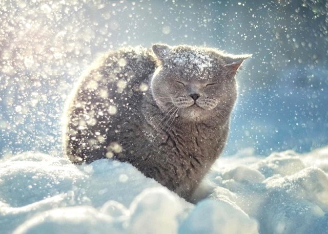 Кышның беренче көнендә һава торышында үзгәрешләр булырмы?